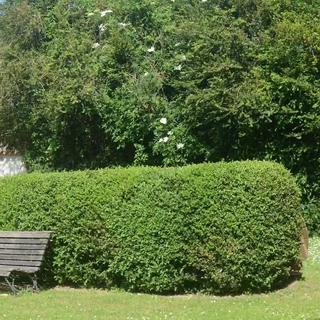 شقة L'empereur - La Maisou